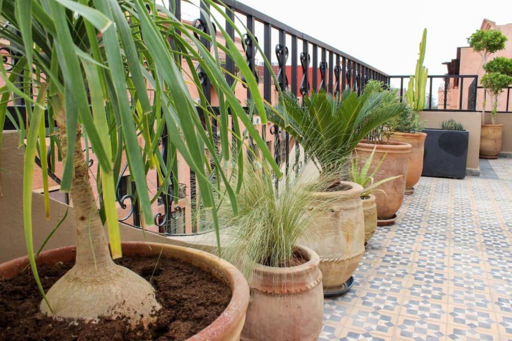 Dar Nouonsa Apartment Marrakesh Ngoại thất bức ảnh